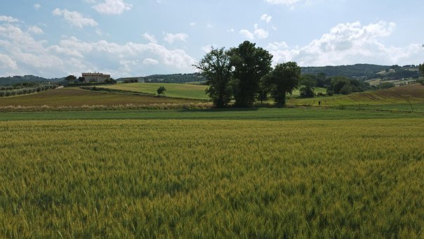 Free Drone Fields photo and picture
