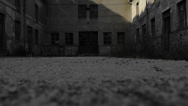 Free Old Plant photo and picture