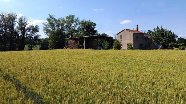 Free Drone Fields photo and picture