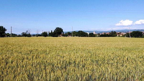 Free Drone Fields photo and picture