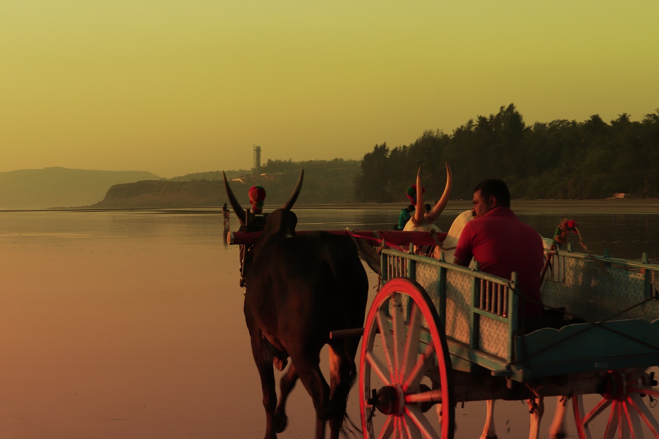 Sunset - free online jigsaw puzzle photo