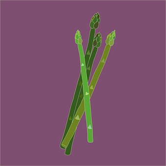 Free Herb Botanical vector and picture