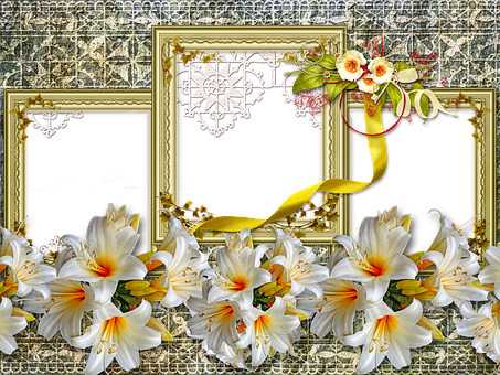 Free Lilies Flower illustration and picture