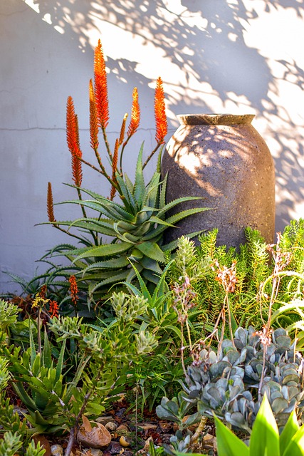 Free Aloe Flower photo and picture