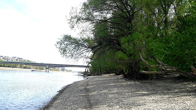 Free Danube Slovakia photo and picture