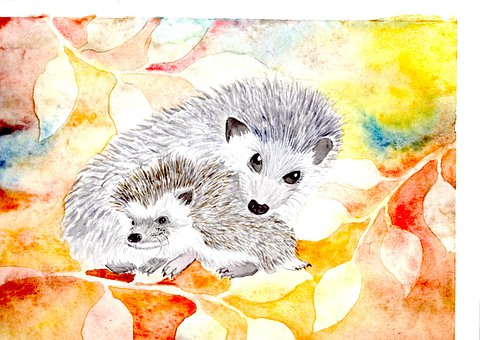 ハリネズミ 動物に関する100以上の無料イラスト Pixabay