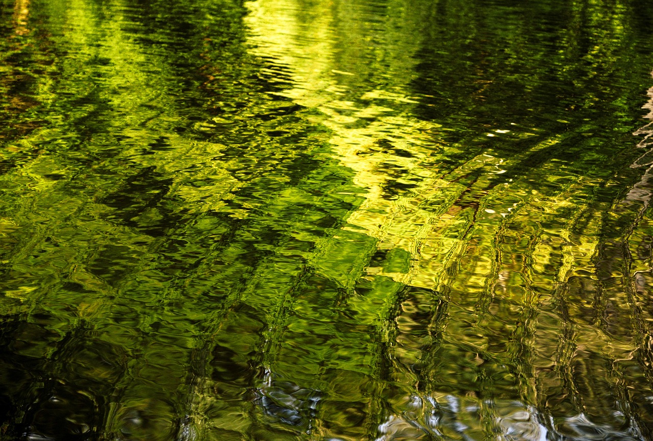 L'Eau Couleur Vert - Photo gratuite sur Pixabay - Pixabay