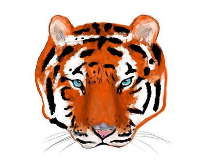 Free Tiger Predator illustration and picture