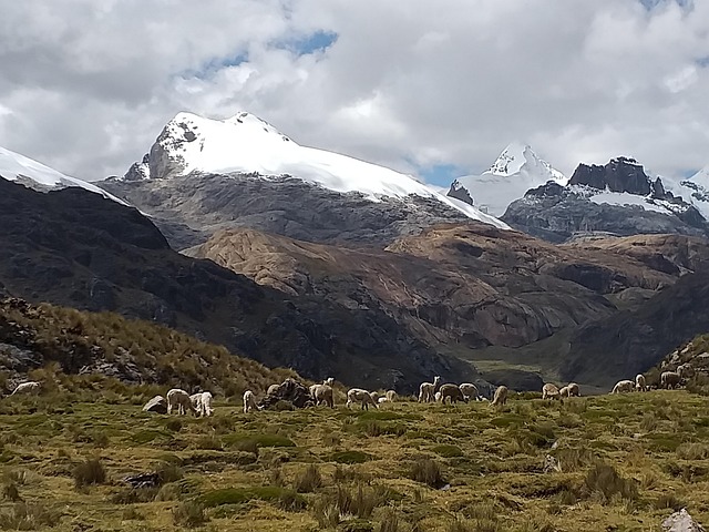 Cordillera Raura Trekking Huaraz - Foto gratis en Pixabay - Pixabay