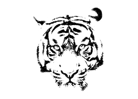 Tiger, Striber, Kat, Dyr, Dyreliv
