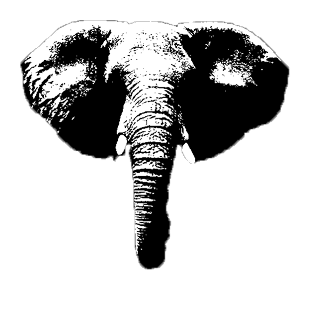 Download Elephant Horns Wildlife RoyaltyFree Stock Illustration Image Pixabay
