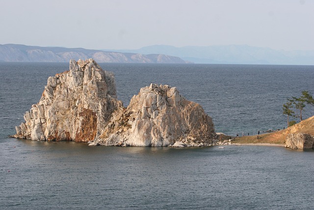 Free Orchid Baikal Lake photo and picture