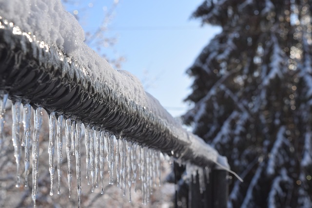 Free Ice Winter photo and picture