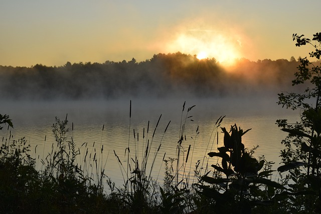 Free Lake Morning photo and picture