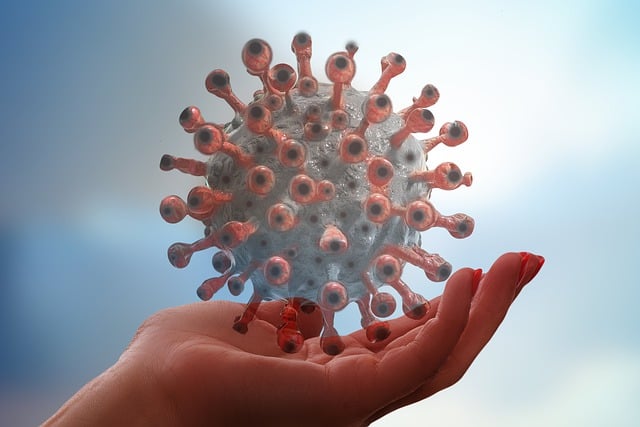 Free corona coronavirus virus illustration