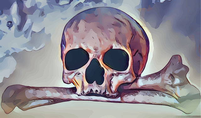 Free skull crossbones pirate illustration