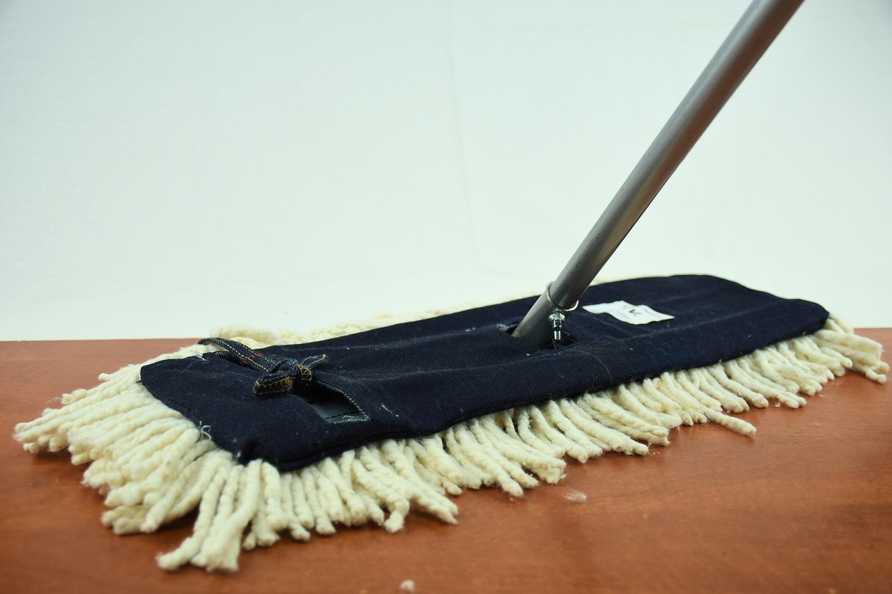 Couch Cleaner in Pine Mountain Georgia
