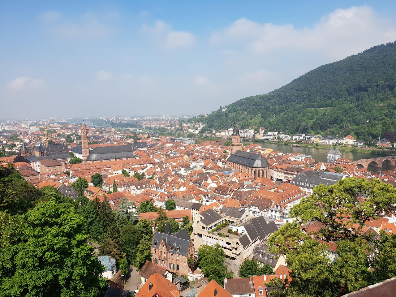 Parc national en Allemagne : notre sélection | Guide de voyage