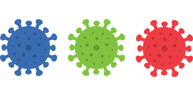 Free virus coronavirus corona vector