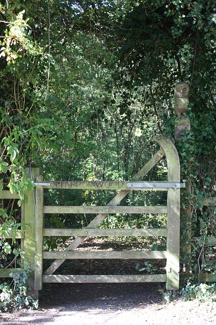 Free Gate Woodland photo and picture