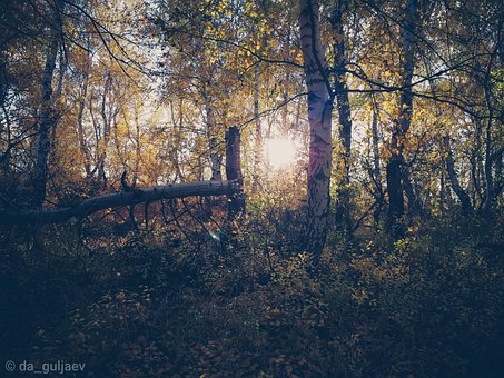 Toamnă, Într-O Zi, Septembrie