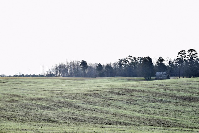 Nebel, Natur, Landschaft, Feld, Grün