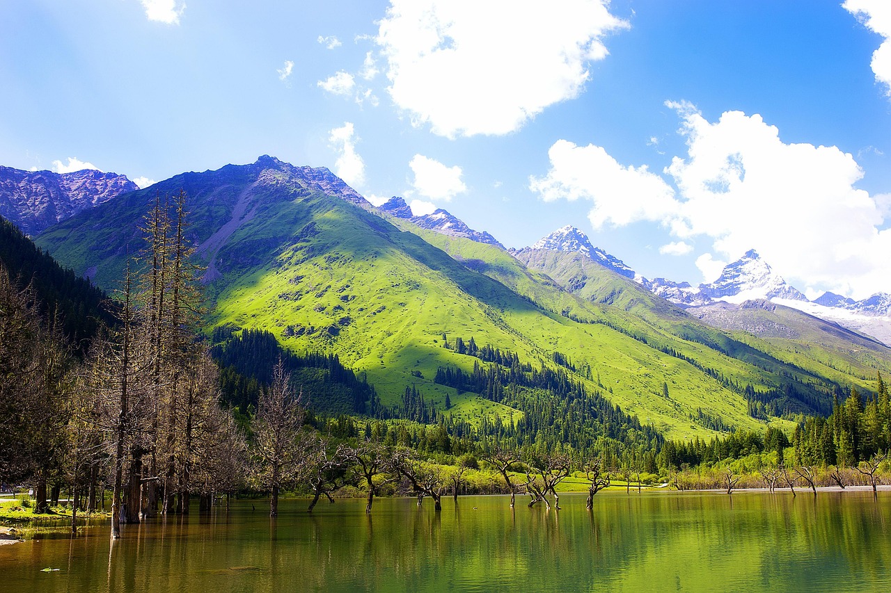 超过300 张关于“山水”和“山水画”的免费图片- Pixabay 