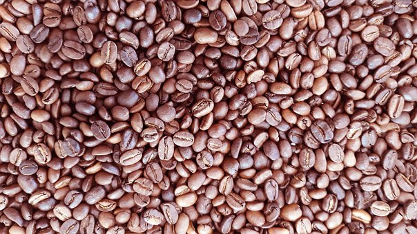 Free Coffee Beans Coffee photo and picture