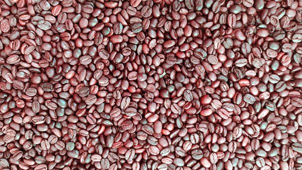 Free Coffee Coffee Beans photo and picture