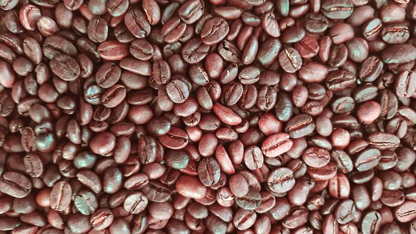 Free Coffee Coffee Beans photo and picture