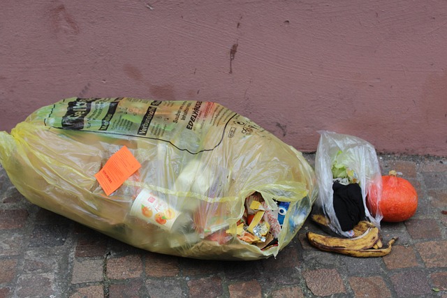 Lixo, Desperdício, Reciclando