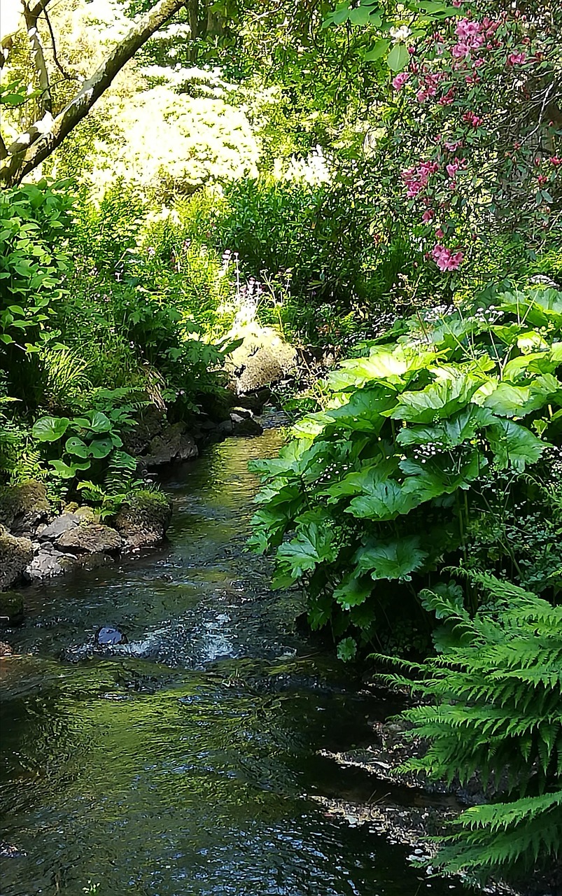 Streaming O Rivers River Stream Water - Free photo on Pixabay - Pixabay