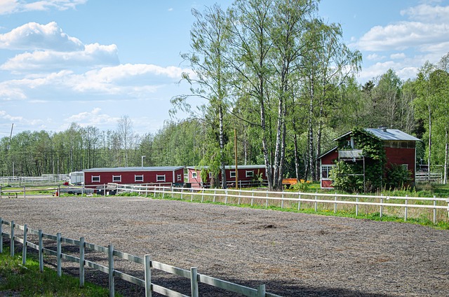 Free Barn Stable photo and picture