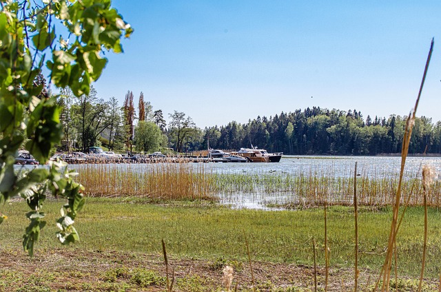 Free Landscape Docks photo and picture