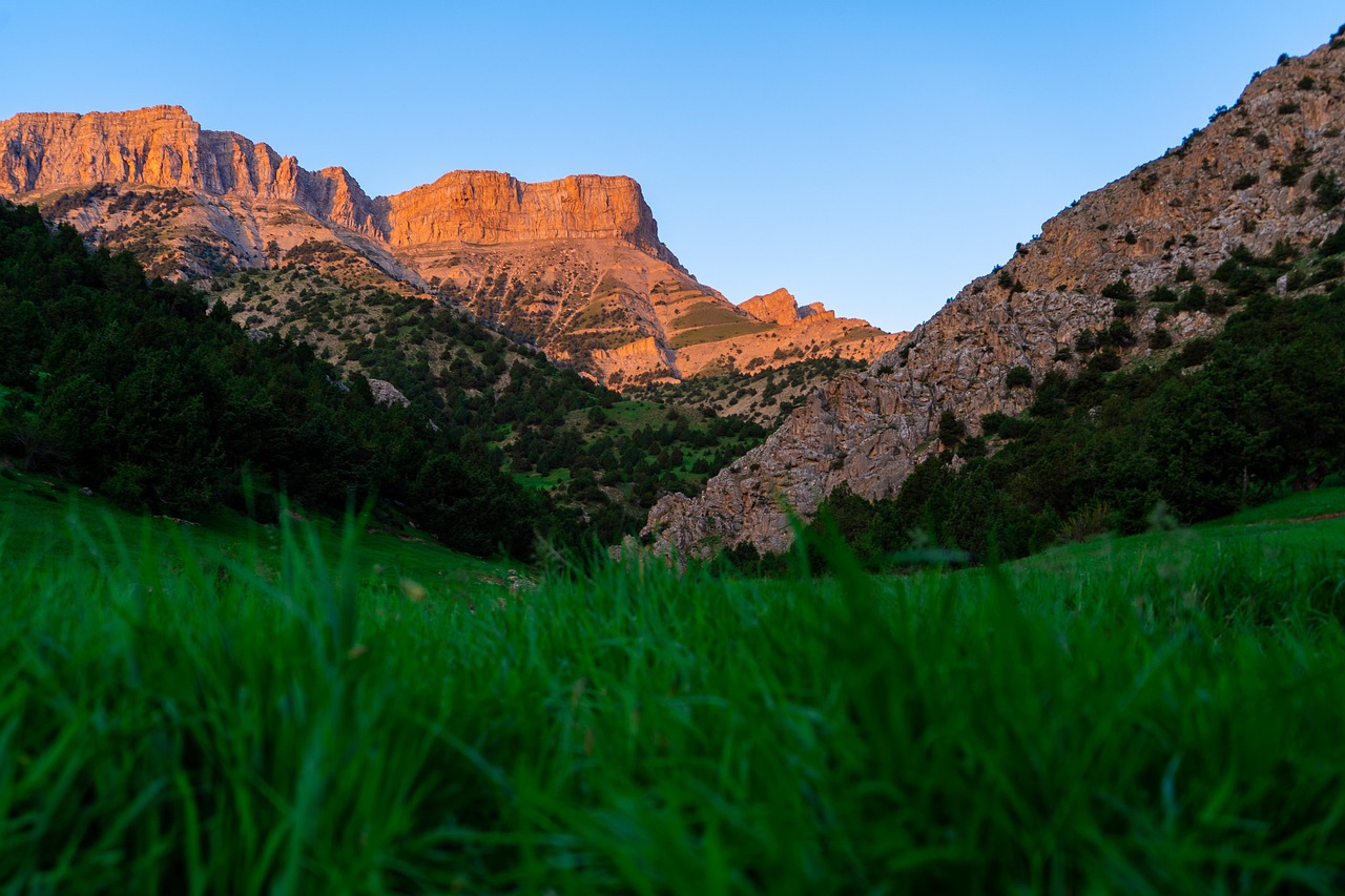 Nature - free online jigsaw puzzle photo