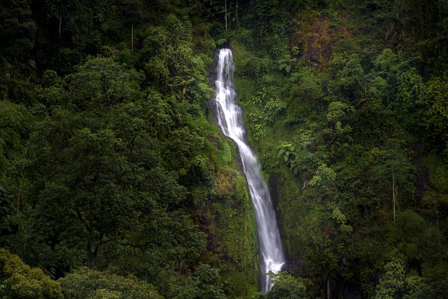 Waterval, Berg, Water