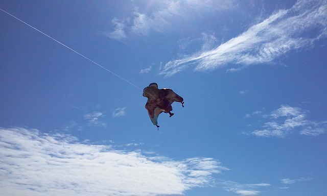 Free Sky Kite photo and picture
