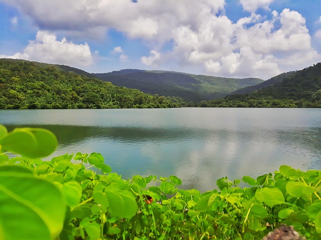Vista Verde Do Lago - Foto gratuita no Pixabay