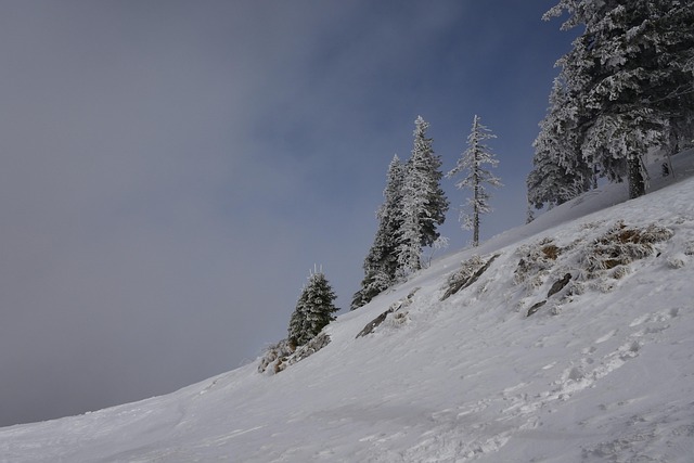 Free Mountain The Snow photo and picture