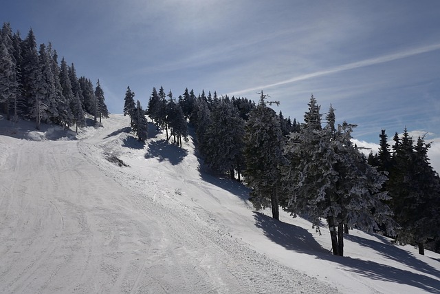 Free Mountain The Snow photo and picture