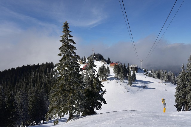 Free Mountain The Snow photo and picture