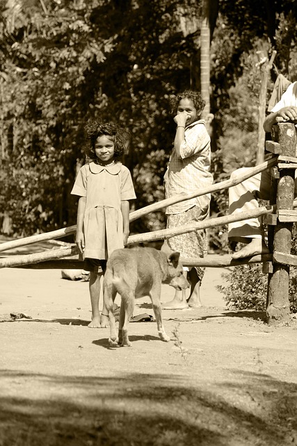 Free Tea Picking Lady Tea Picking Worker photo and picture