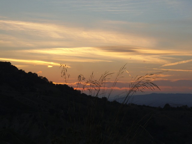 Free Sunset Herbs photo and picture