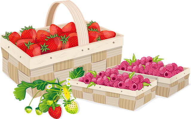 Free fruit strawberry strawberries raspberry raspberries vector