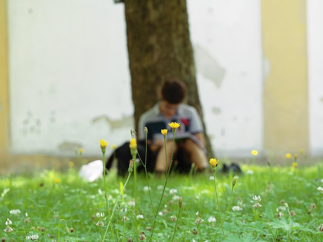 Free Reflection Flower photo and picture