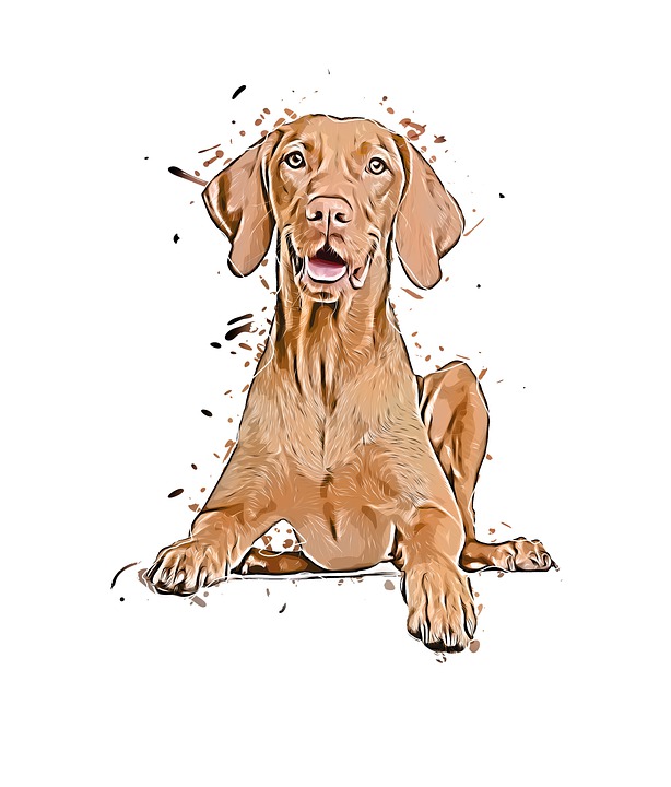 Download Dog, Vizsla, Portrait. Royalty-Free Stock Illustration Image
