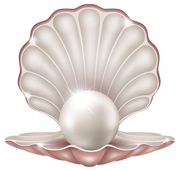 Free Shell Pearl illustration and picture