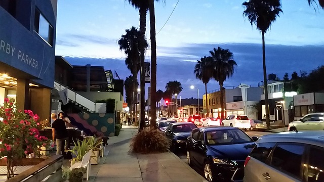 Free Abbott Kinney Venice Beach photo and picture