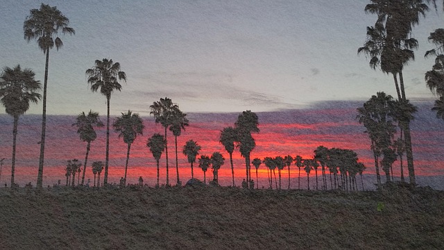 Free Venice Beach Venice photo and picture