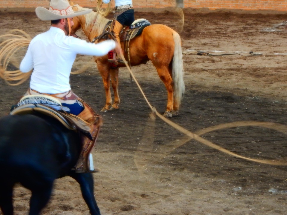 Santa Rodeo Lasso Lasso Rodeo Pferd - Kostenloses Foto auf Pixabay